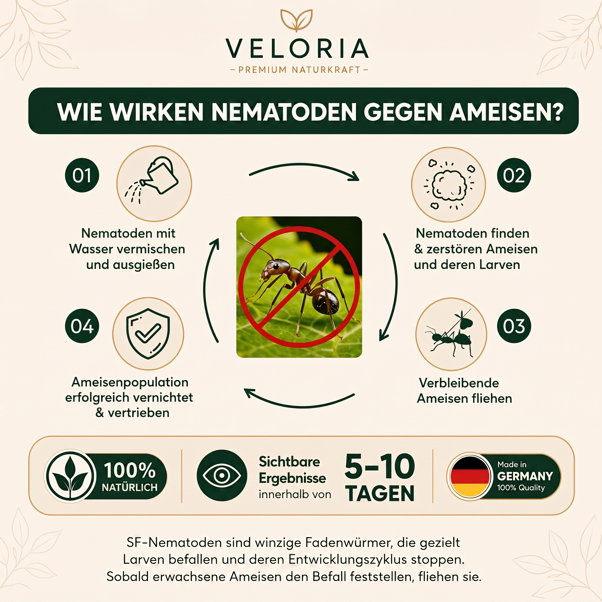 VELORIA SF-Nematoden gegen Ameisen – Wie wirken Nematoden