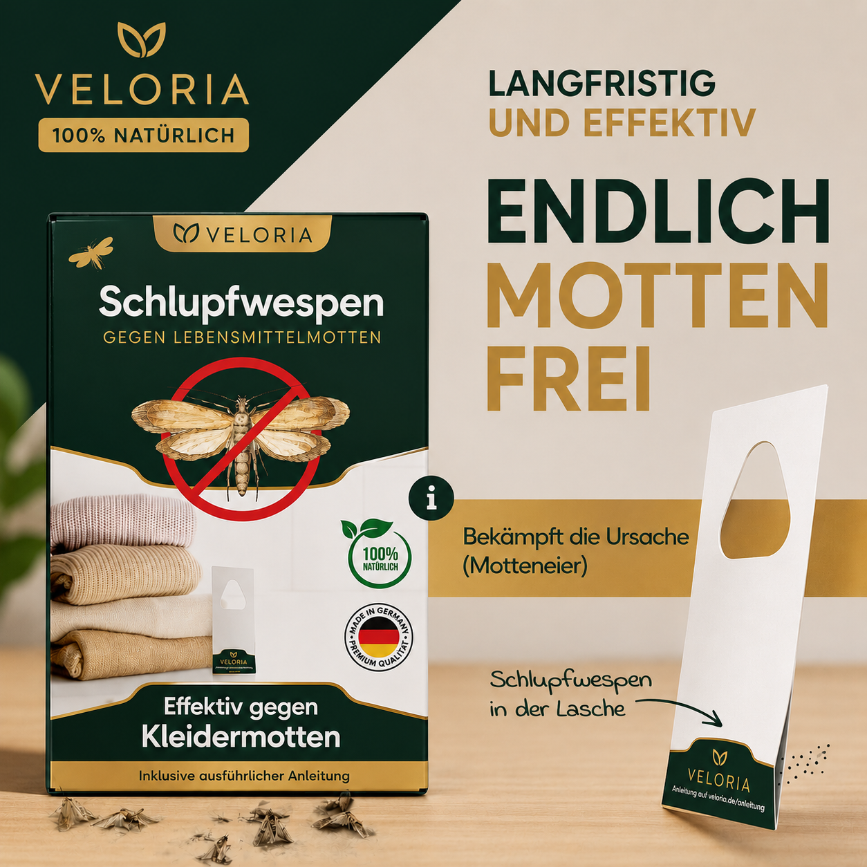 VELORIA Schlupfwespen gegen Kleidermotten – so wirken Schlupfwespen
