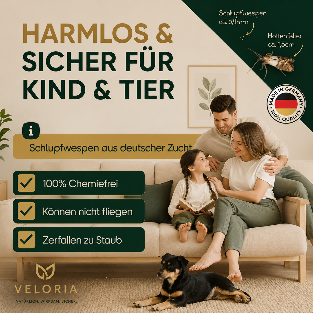VELORIA Schlupfwespen gegen Kleidermotten – natürlich und chemiefrei