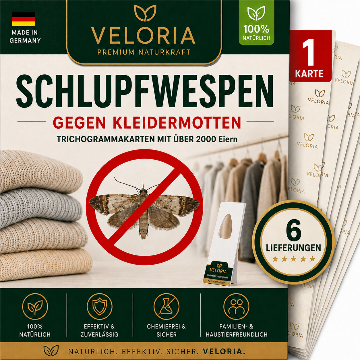 1 Karte, 6 Lieferungen