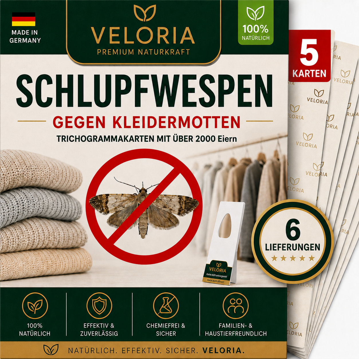 5 Karten, 6 Lieferungen