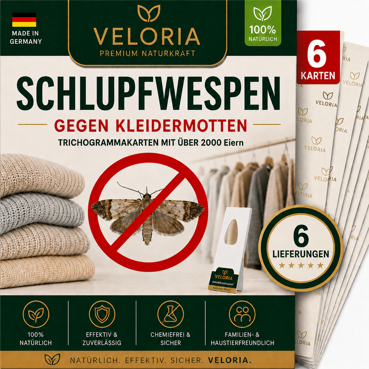 6 Karten, 6 Lieferungen