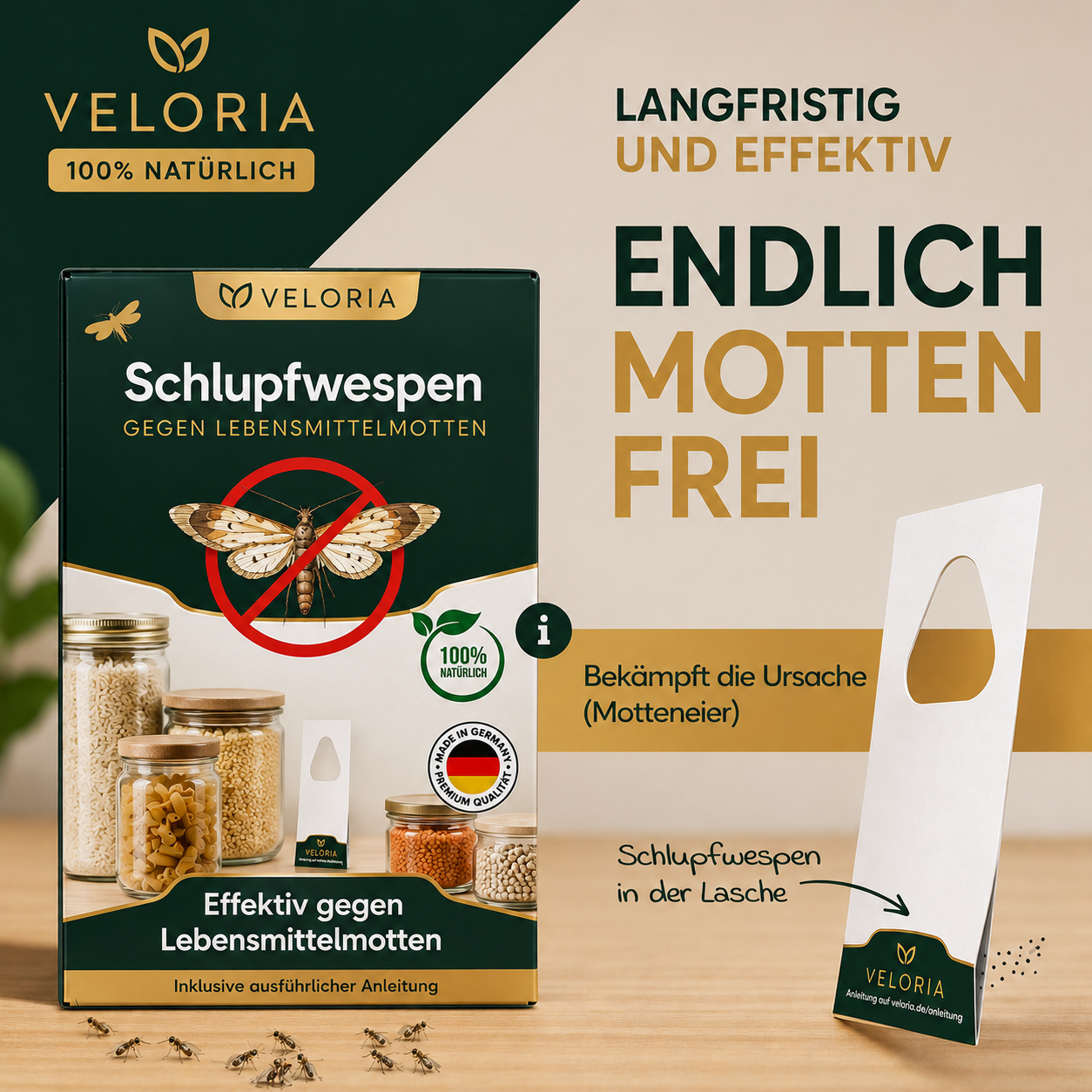 VELORIA Schlupfwespen gegen Lebensmittelmotten – so wirken Schlupfwespen