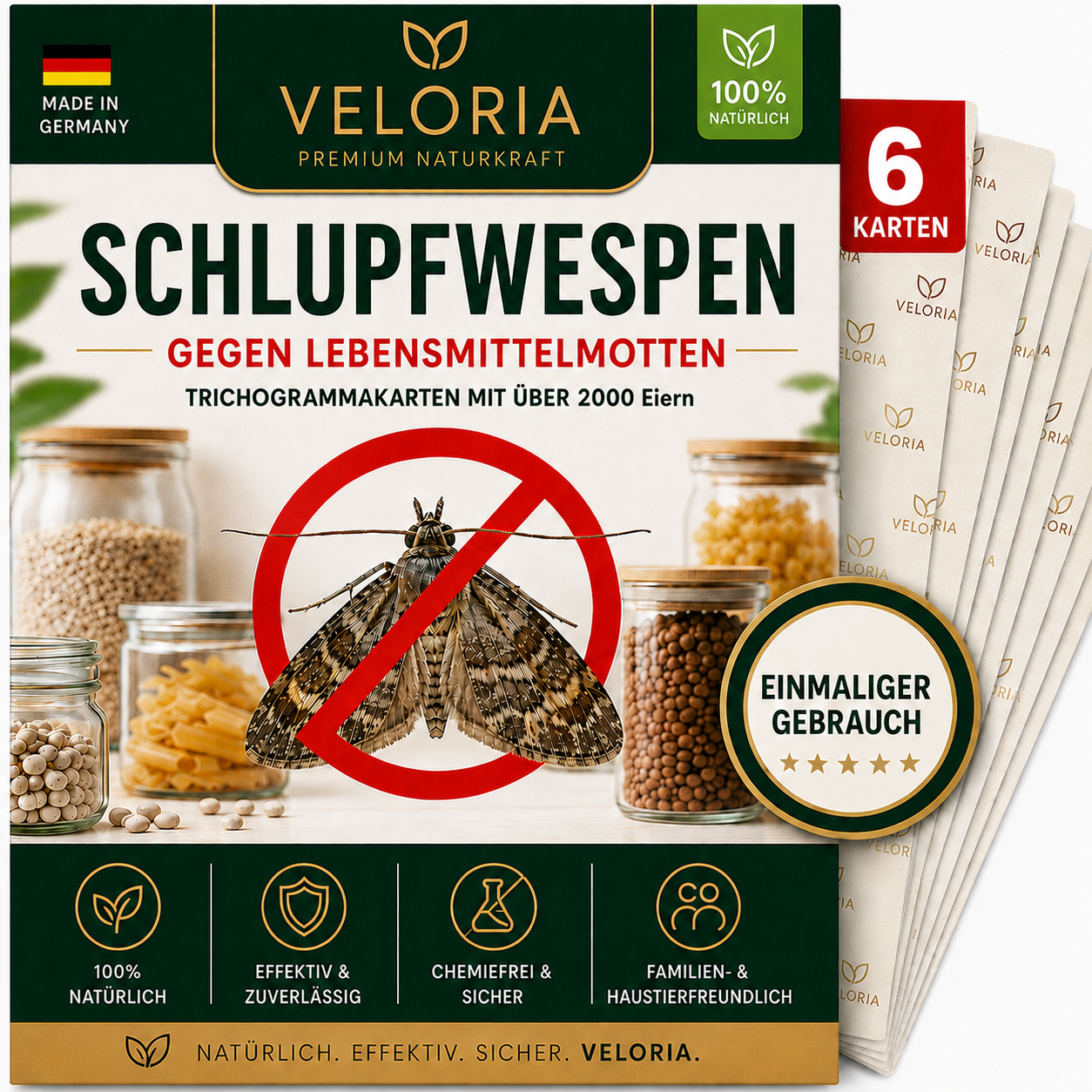 6 Karten, 1 Lieferung