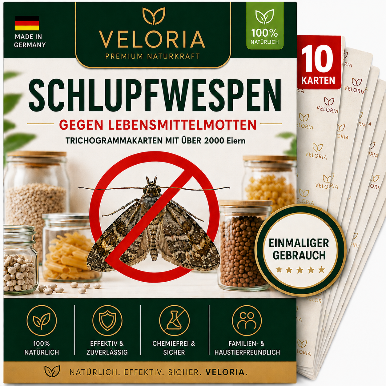 10 Karten, 1 Lieferung