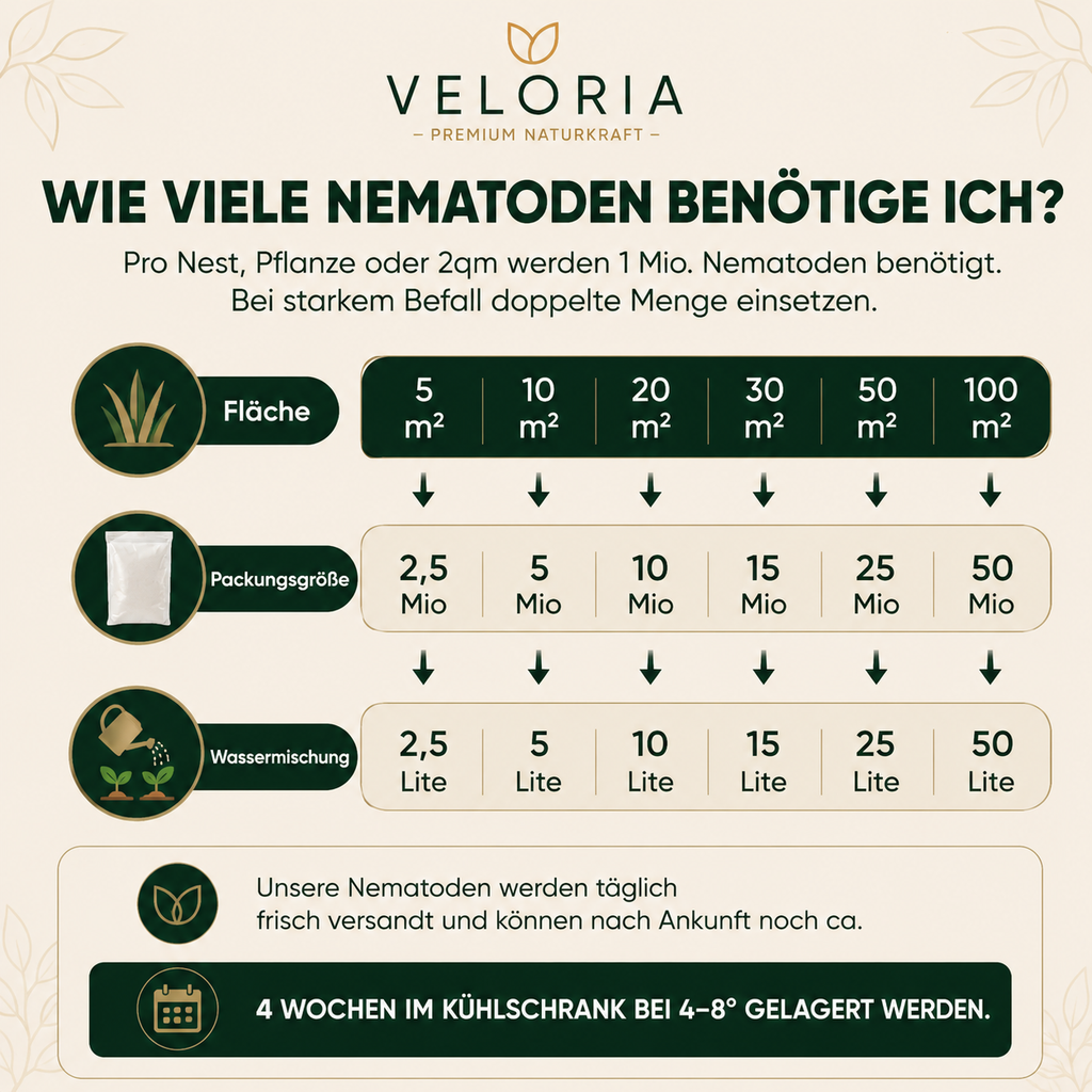 VELORIA SF-Nematoden gegen Ameisen – Größenübersicht